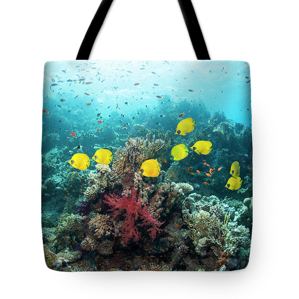 Tranquility Tote Bag featuring the photograph Coral Reef Scenery #14 by Georgette Douwma