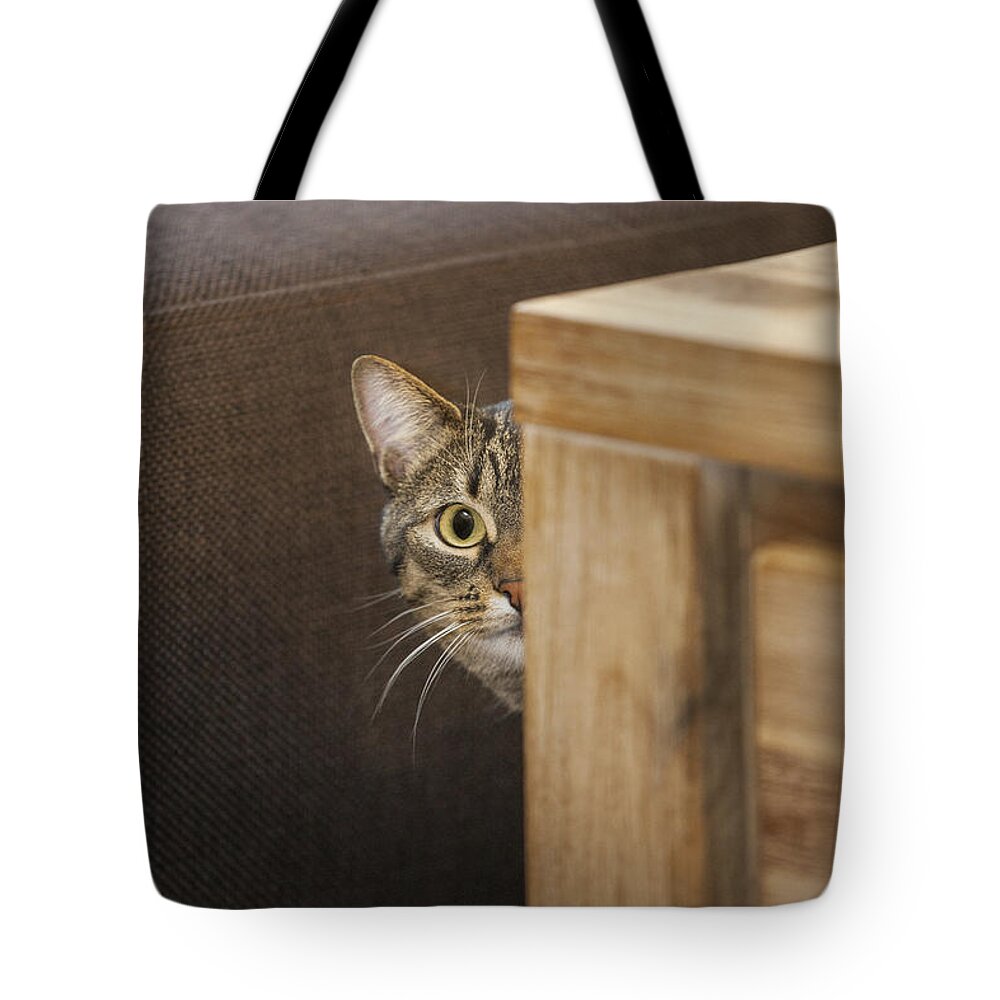 Shy Tote Bag featuring the photograph 140221p230 by Arterra Picture Library