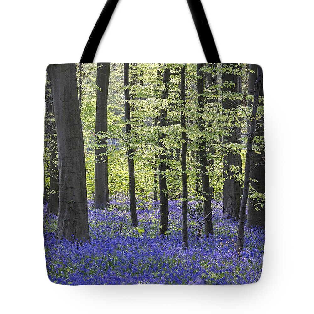 Bluebells Tote Bag featuring the photograph 140420p059 by Arterra Picture Library
