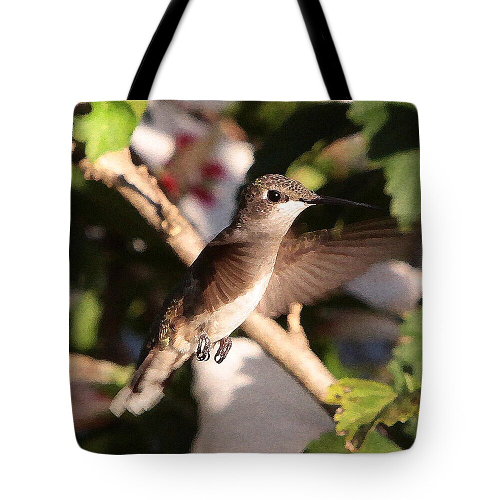 Hummingbirds Tote Bag featuring the photograph Hummingbird #13 by John Freidenberg