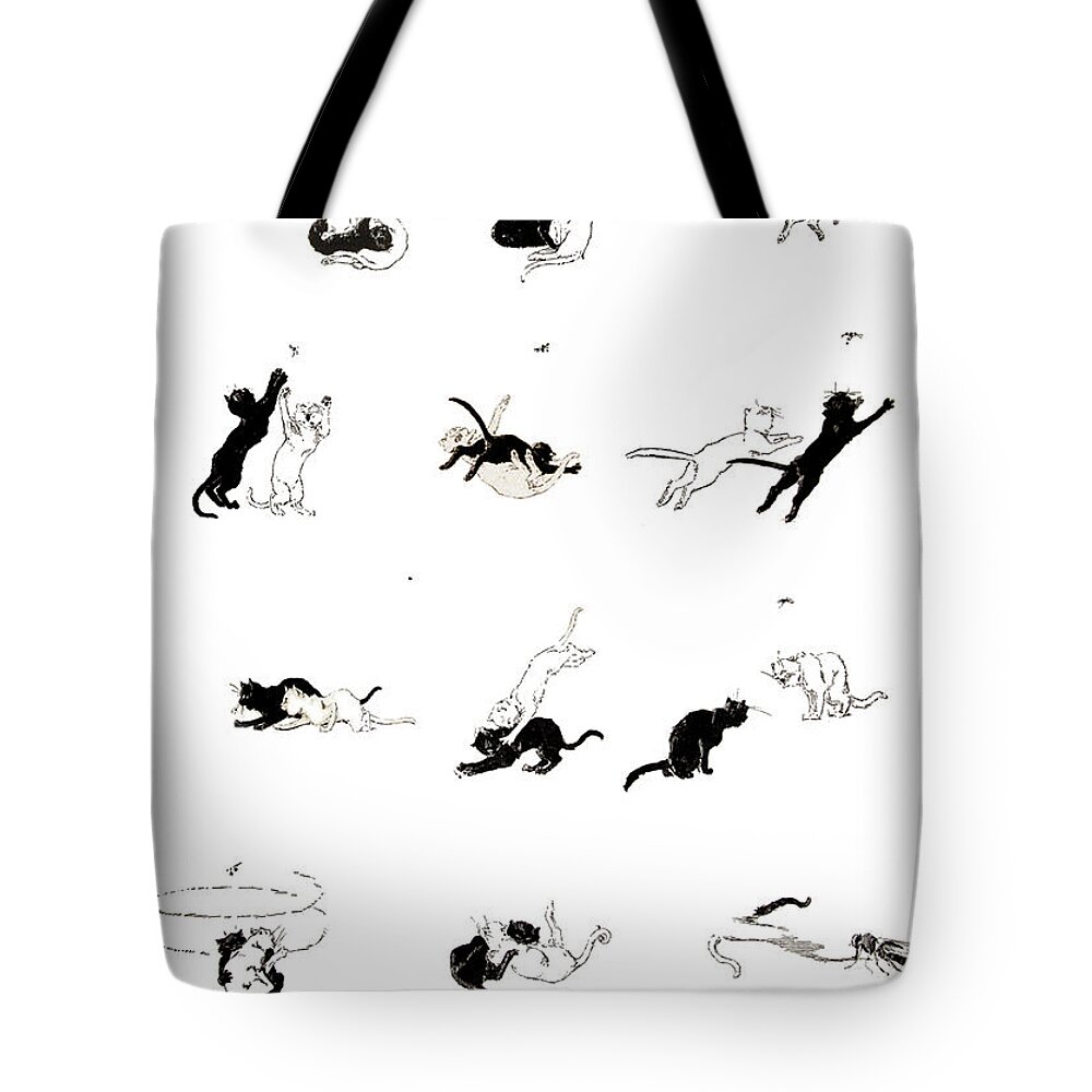 Cats- Pictures Without Words' 1897 Theophile Alexandre Steinlen 2 Tote Bag featuring the painting Pictures without Words by MotionAge Designs