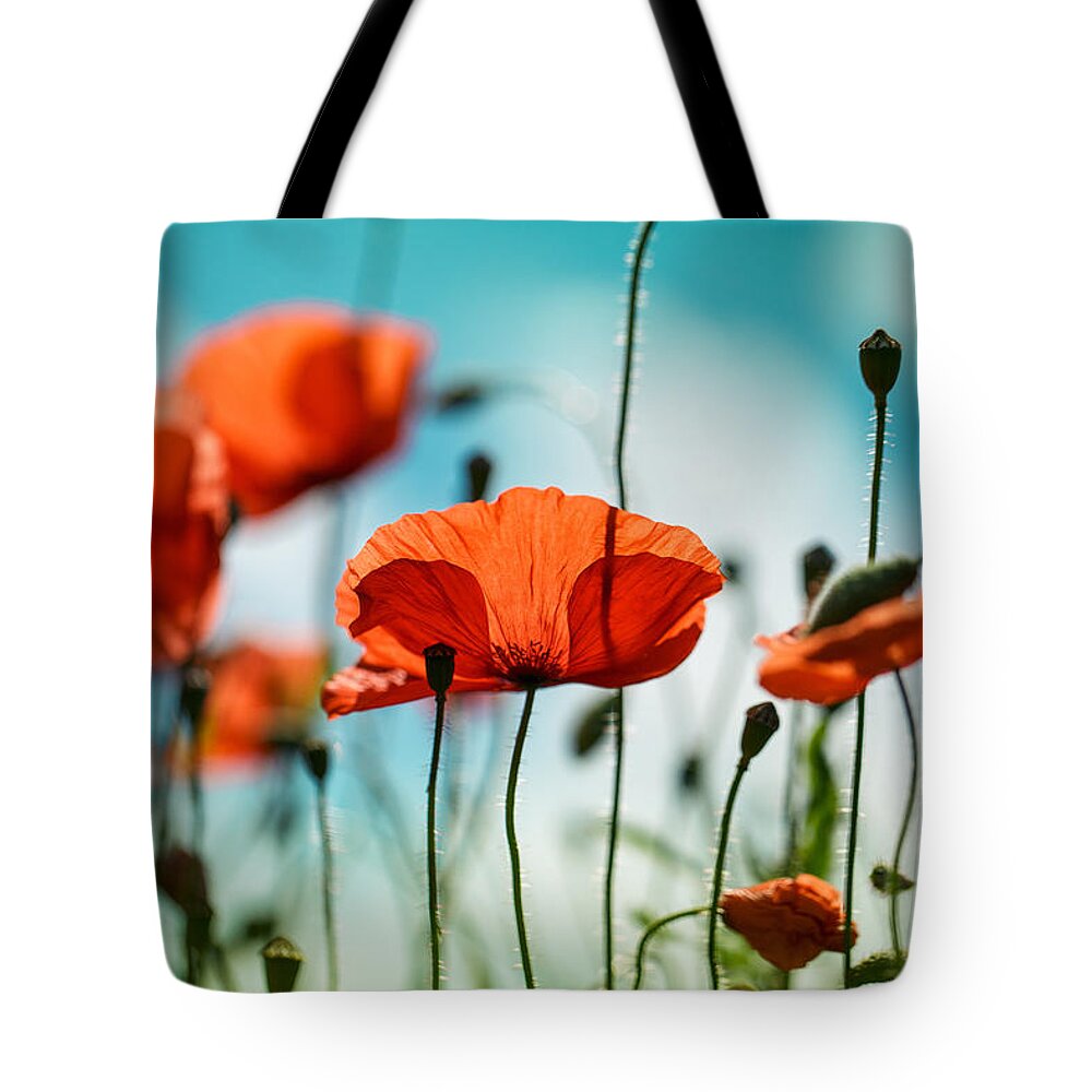 Poppy Tote Bag featuring the photograph Poppy Meadow by Nailia Schwarz