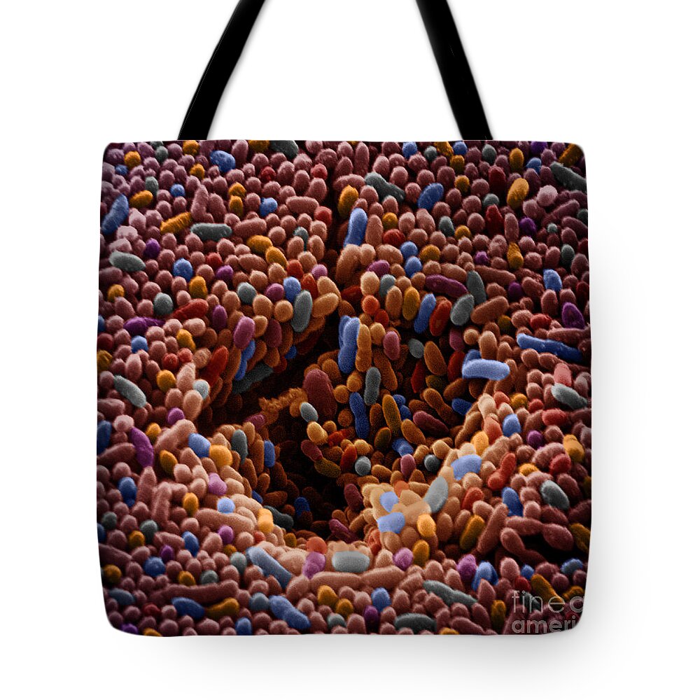 Sem Tote Bag featuring the photograph Sem Of Polluted Water #16 by David M. Phillips