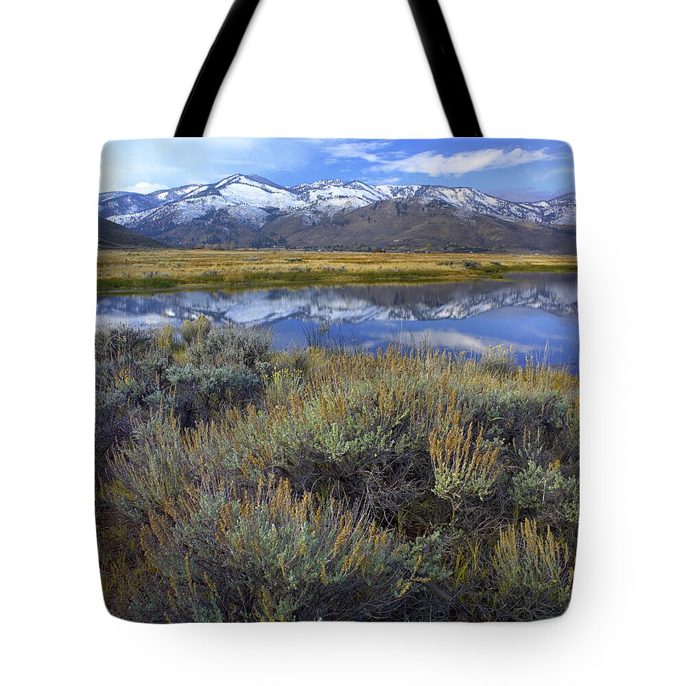 00175191 Tote Bag featuring the photograph Carson Range and Washoe Lake by Tim Fitzharris