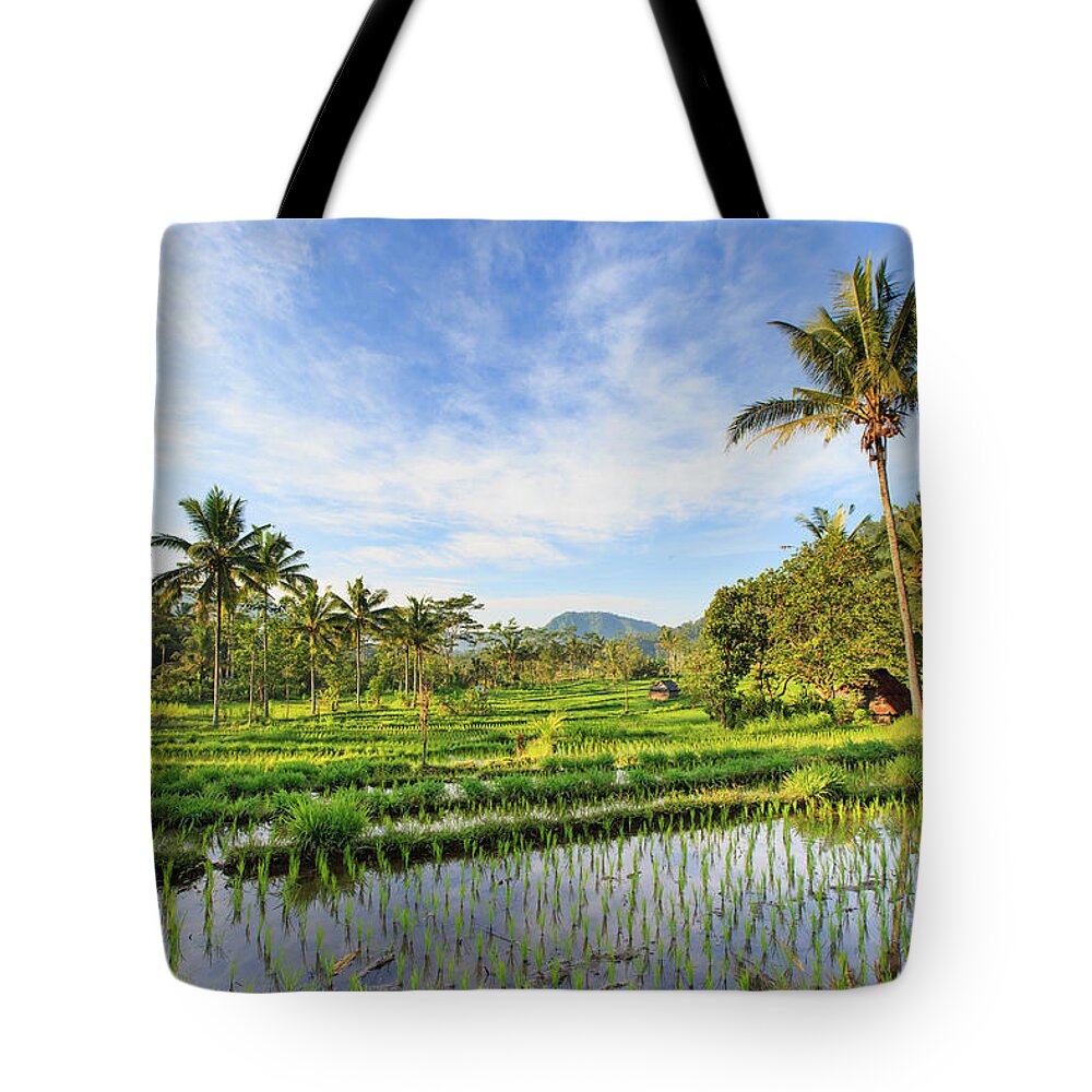 Scenics Tote Bag featuring the photograph Indonesia, Bali, Rice Fields And #17 by Michele Falzone