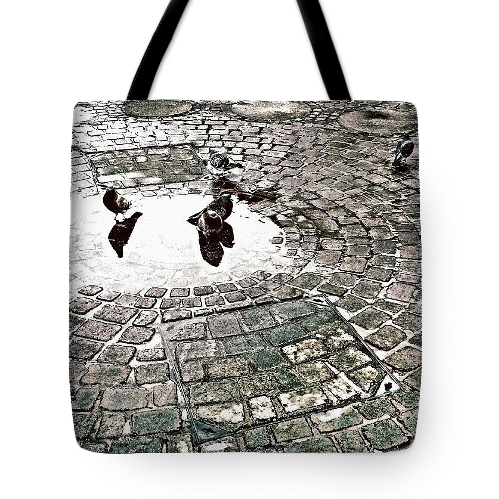 Beautiful Tote Bag featuring the photograph Pigeons in a Puddle by Jason Roust