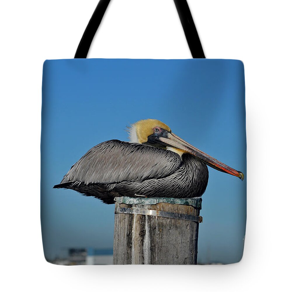 Pelican Tote Bag featuring the photograph 18- Brown Pelican by Joseph Keane
