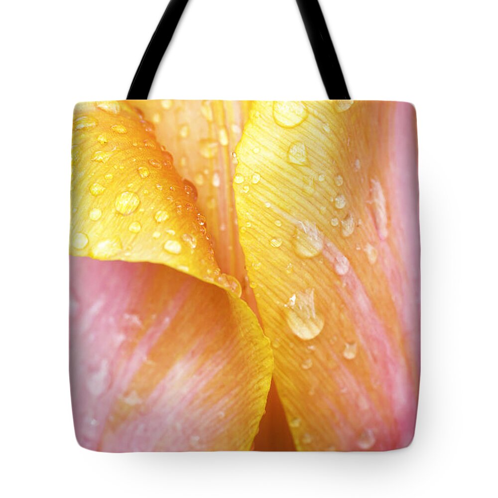 Tulip Tote Bag featuring the photograph Abstract Tulip by Patty Colabuono