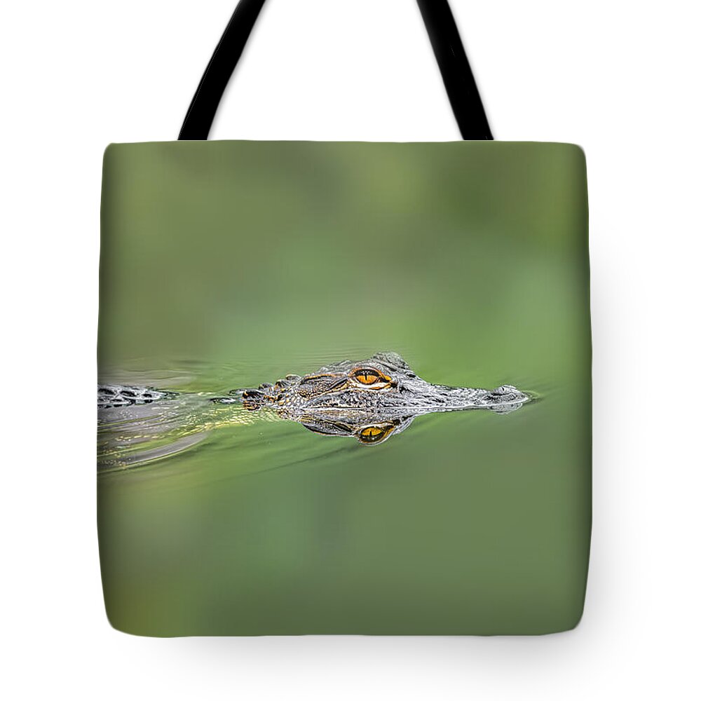 Aggression Tote Bag featuring the photograph Alligator #2 by Peter Lakomy