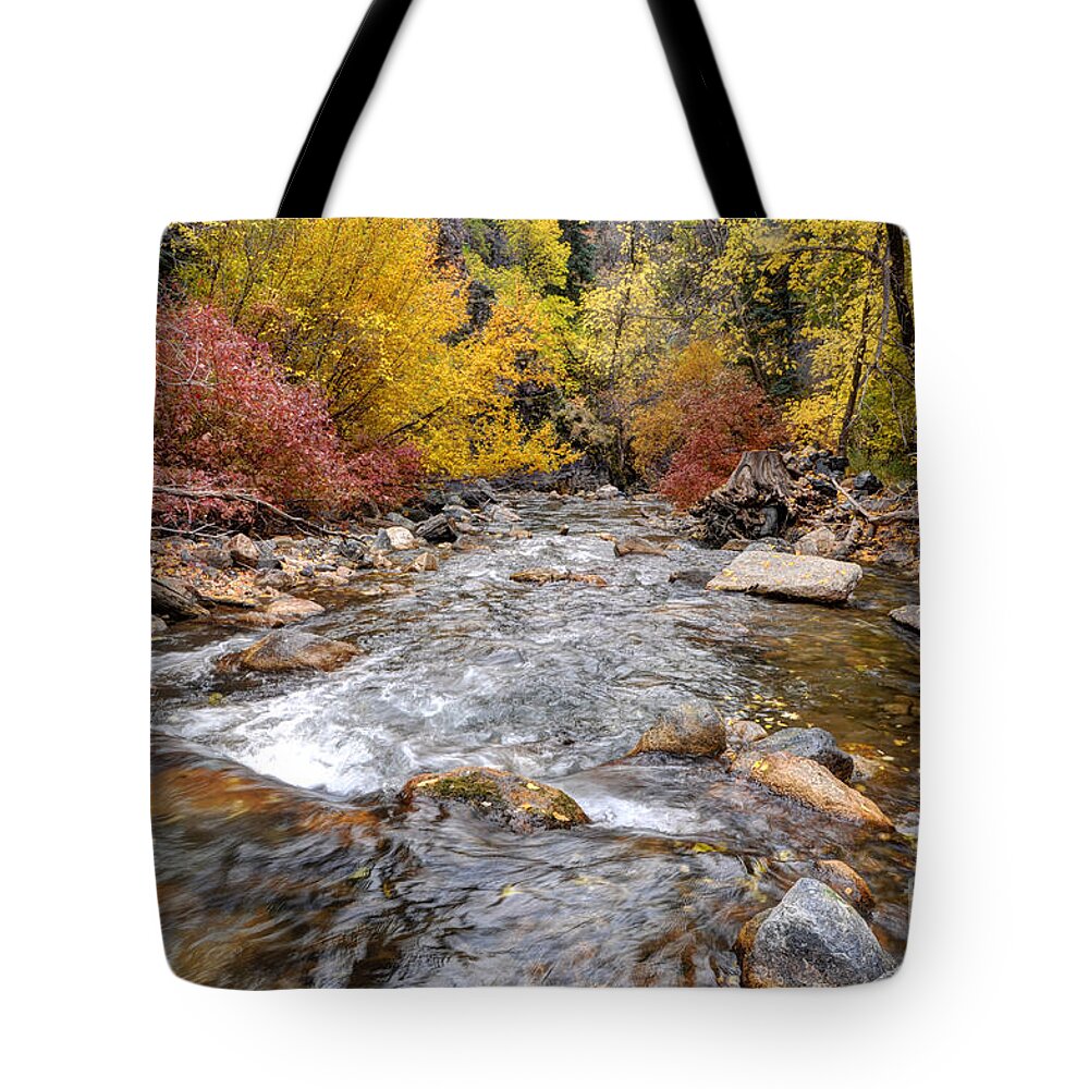 American Tote Bag featuring the photograph American Fork Canyon Creek in Autumn - Utah #3 by Gary Whitton
