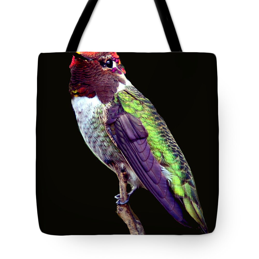 Nature Tote Bag featuring the photograph Anna's Hummingbird #2 by David Salter