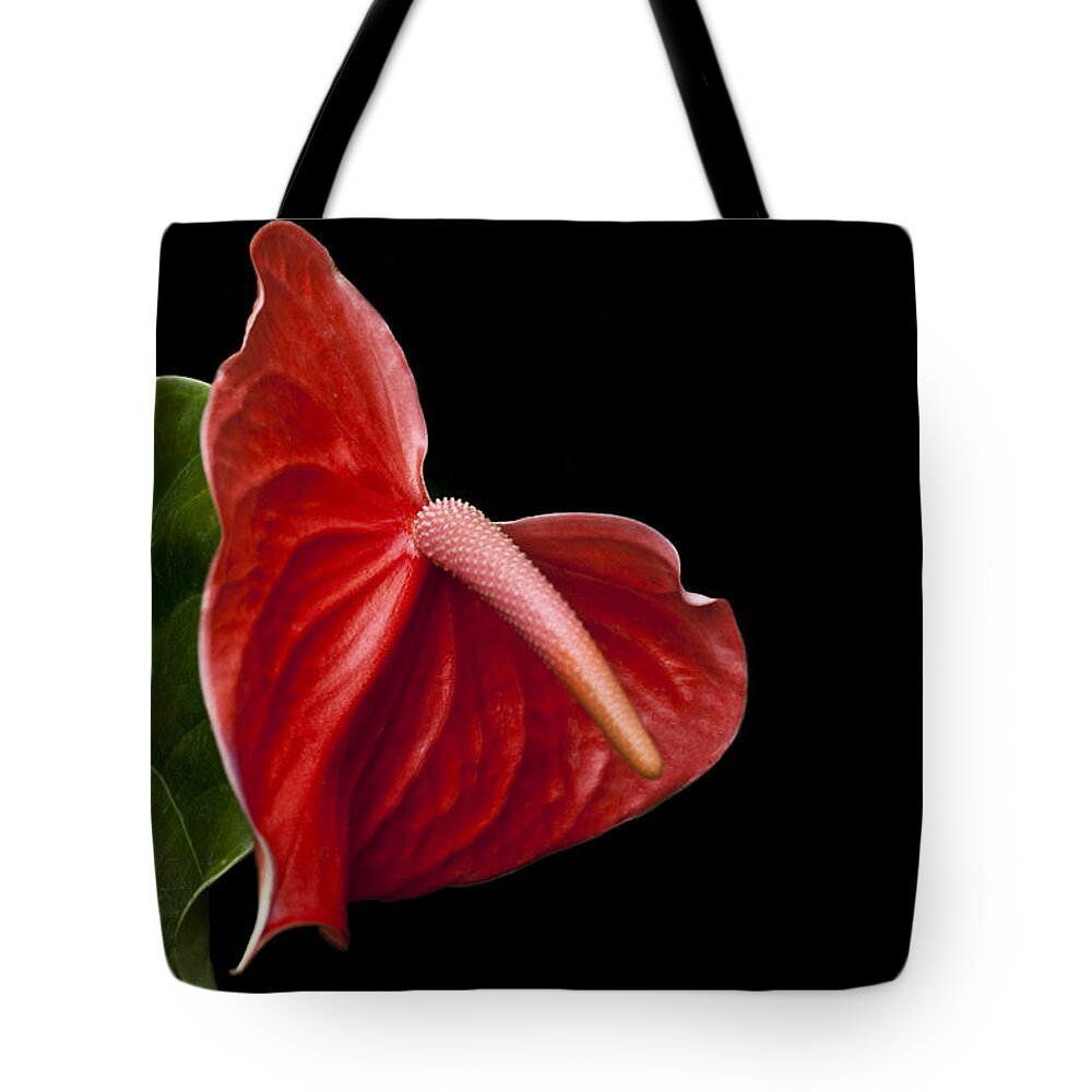 Anthurium Tote Bag featuring the photograph Anthem by Doug Norkum