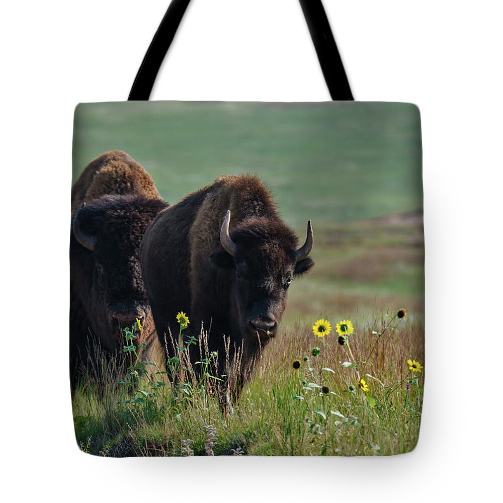 Grass Tote Bag featuring the photograph Bison Buffalo In Wind Cave National Park #2 by Mark Newman