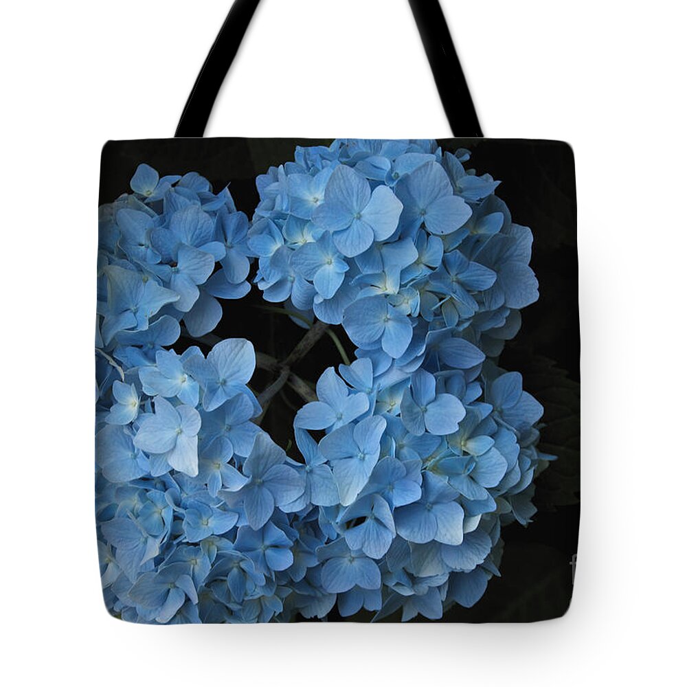 Blue Tote Bag featuring the photograph Blue Hydrangea #2 by William Norton