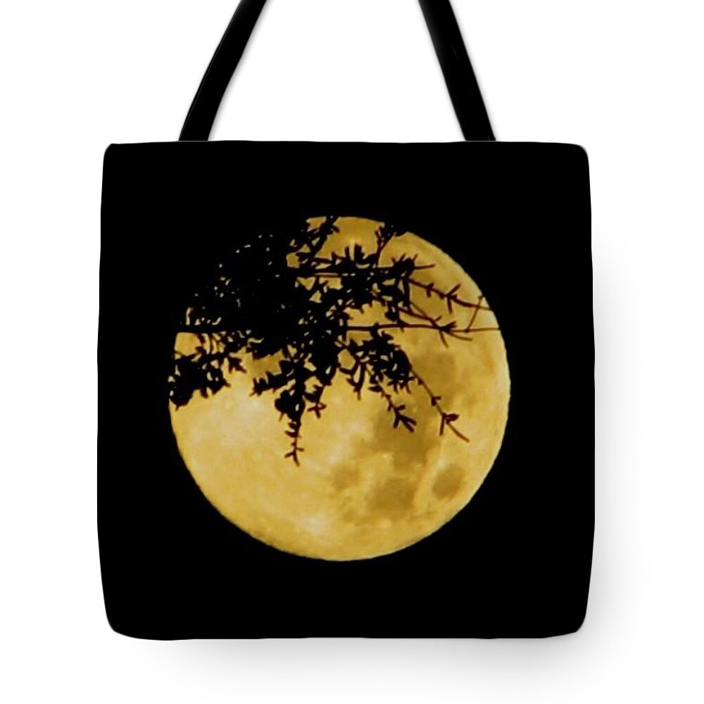 Moon Tote Bag featuring the photograph Branched by Chris Dunn