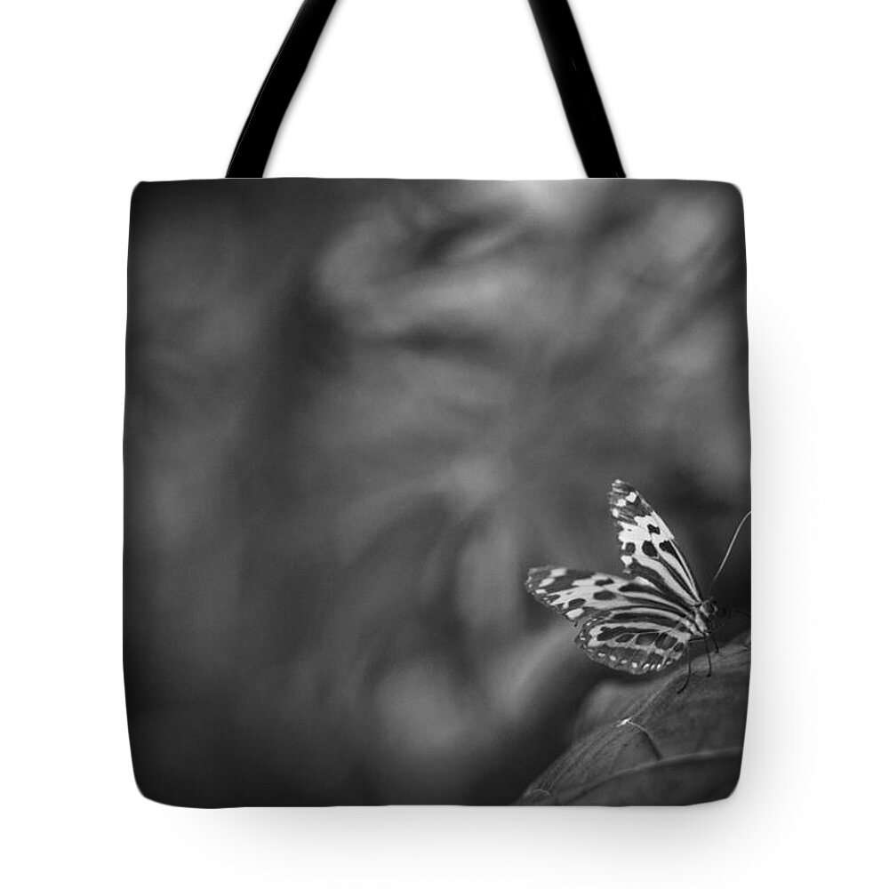 Butterfly Tote Bag featuring the photograph Butterfly Black And White #3 by Bradley R Youngberg