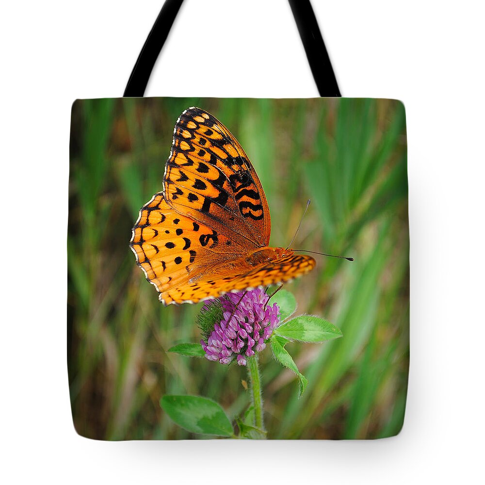 Butterfly Tote Bag featuring the photograph Butterfly #4 by David Hart
