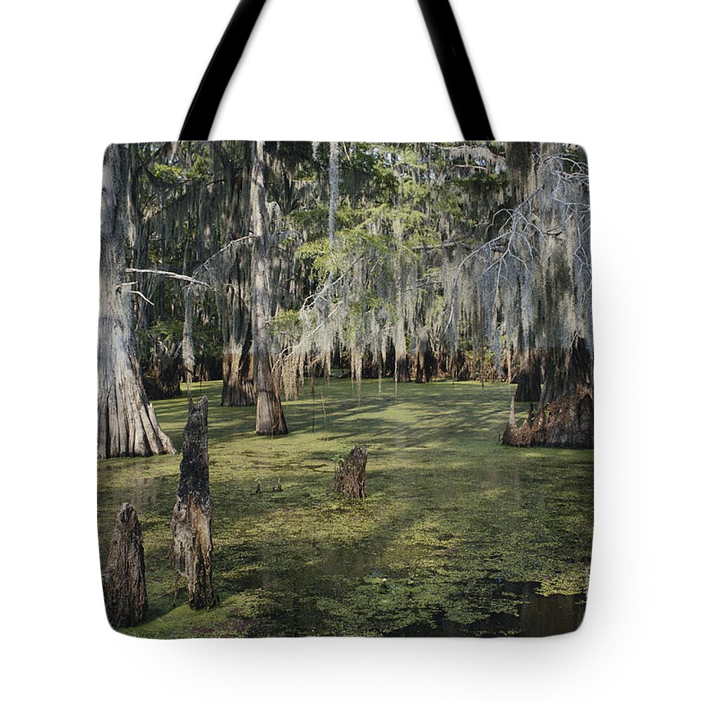 Bald Cypress Tote Bag featuring the photograph Caddo Lake, Texas #2 by Gregory G. Dimijian, M.D.