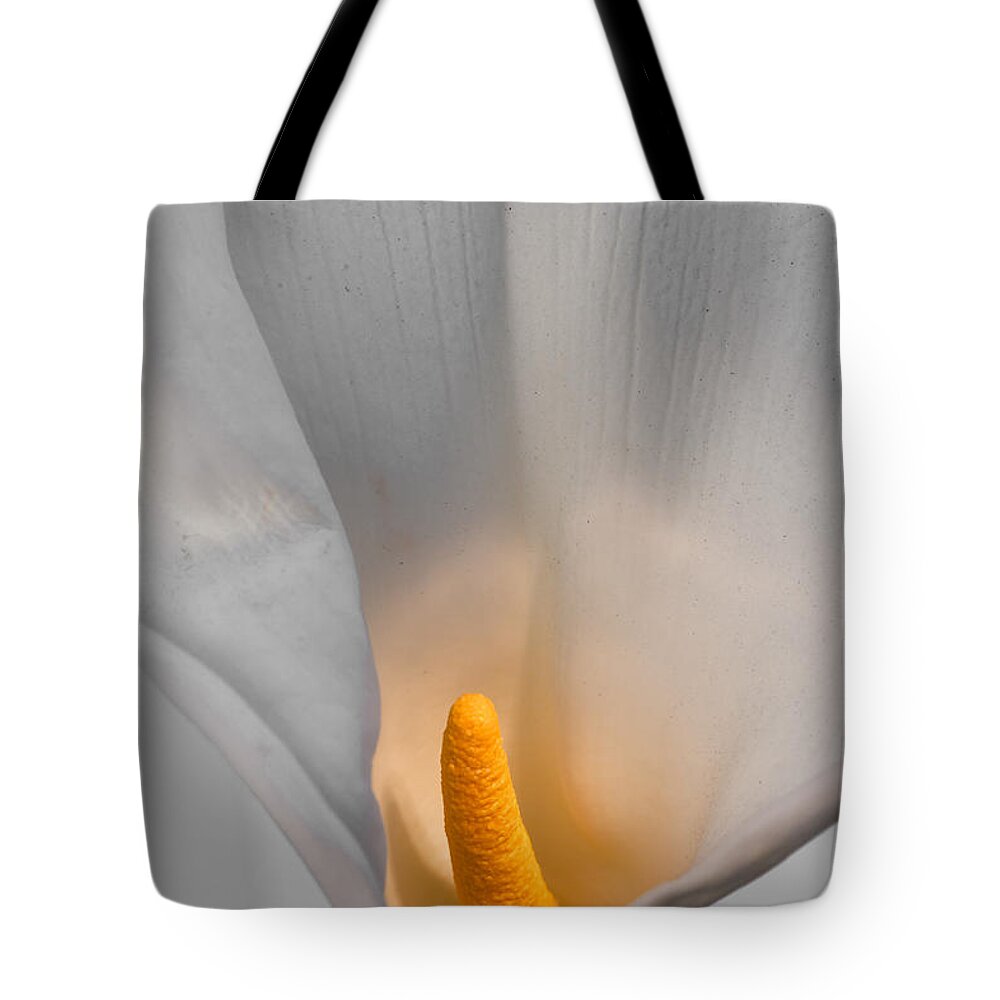 Flower Tote Bag featuring the photograph Calla Lily #5 by Alexander Fedin