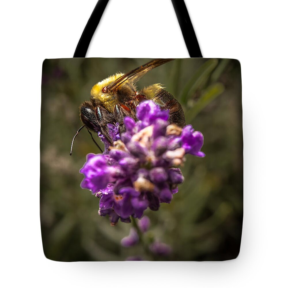 Flower Tote Bag featuring the photograph Carpenter Bee on a Lavender Spike by Ron Pate