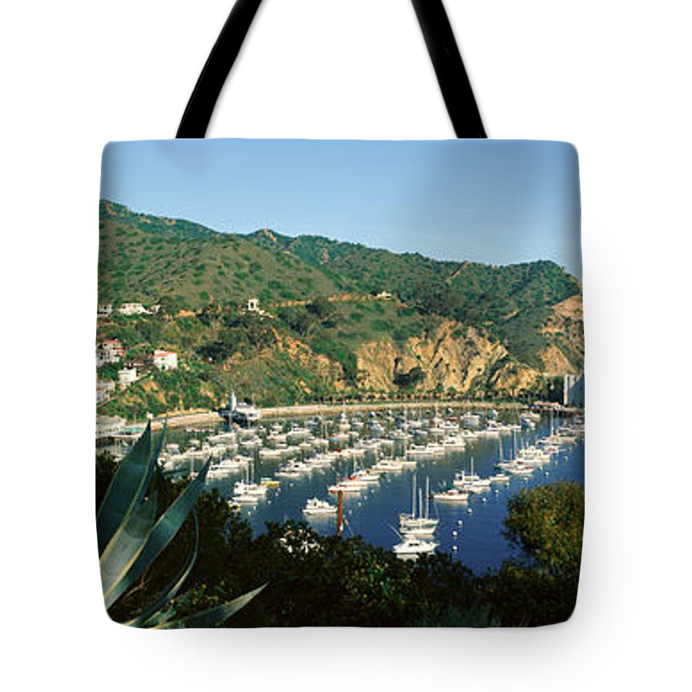 Photography Tote Bag featuring the photograph Casino Building And Avalon Harbor #2 by Panoramic Images