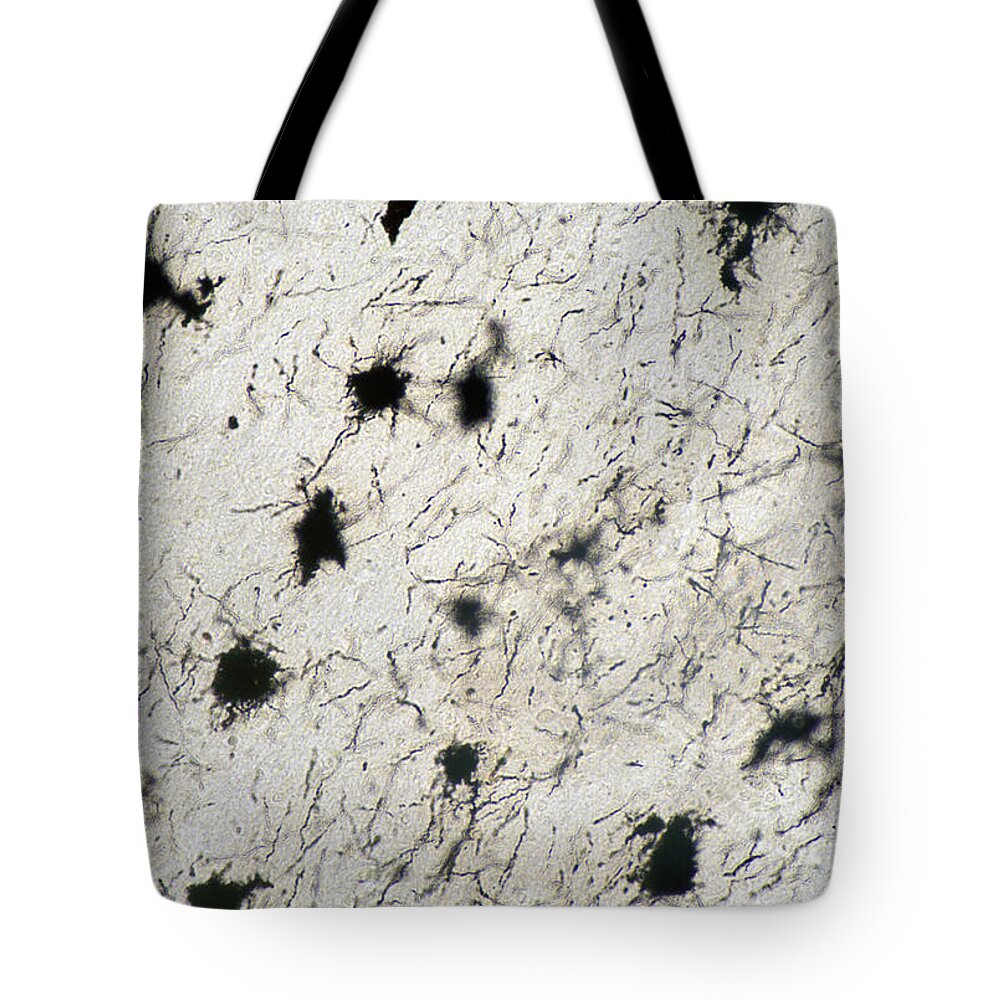 Horizontal Tote Bag featuring the photograph Cerebrum Neurons, Golgi Stain, Lm #2 by Science Stock Photography