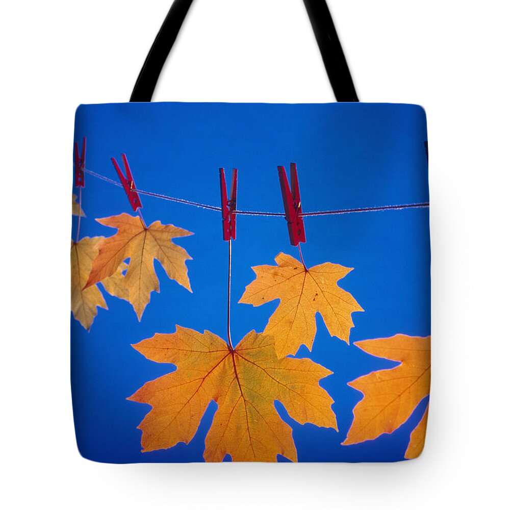 Close-up Tote Bag featuring the photograph Close-up Of Fall Colored Maple Leaves #2 by Kevin Smith