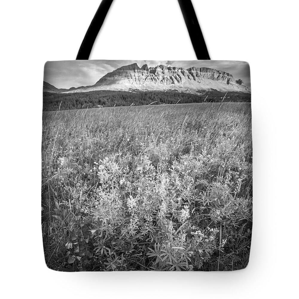 Glacier National Park Tote Bag featuring the photograph 2 Dog Flats with Lupine Glacier National Park BW by Rich Franco