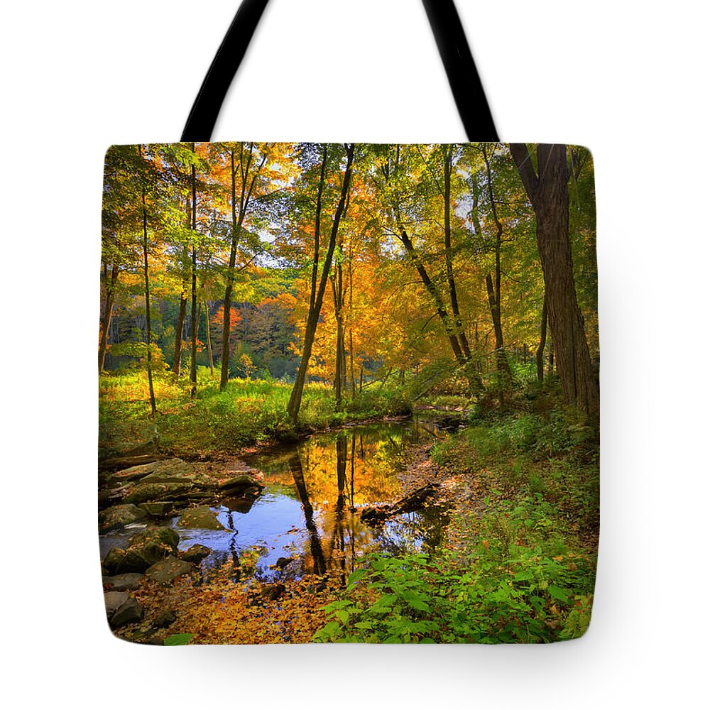 New England Landscape Tote Bag featuring the photograph Early Autumn by Bill Wakeley