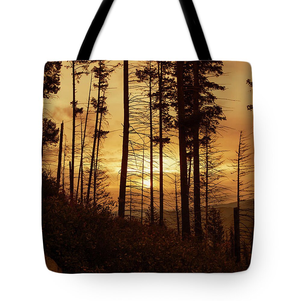 Ron Roberts Photography Tote Bag featuring the photograph Early Morning by Ron Roberts