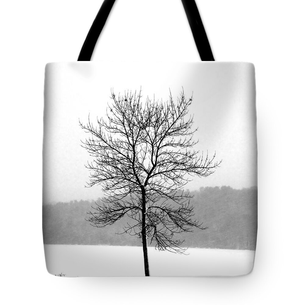 Landscape Tote Bag featuring the photograph Fight Against the Storm by Crystal Wightman