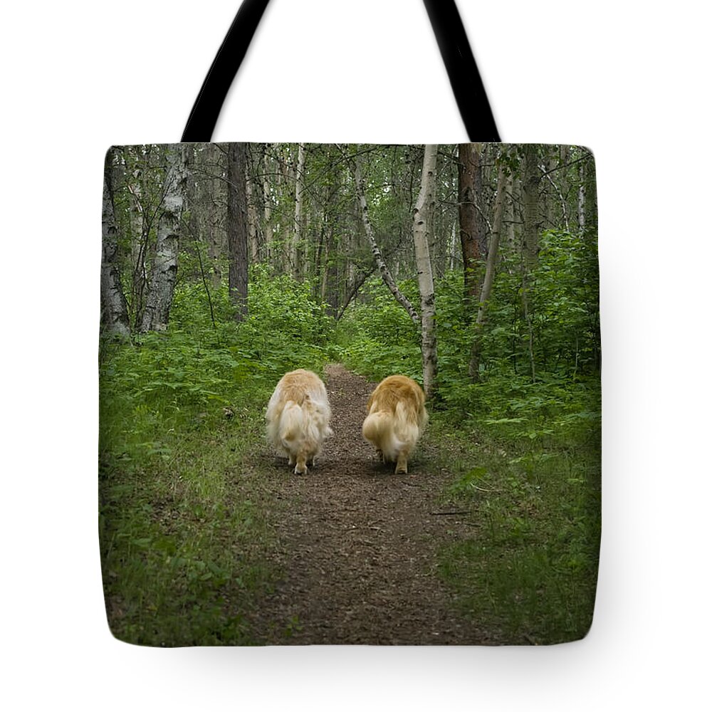 Photograph Tote Bag featuring the photograph Friends #1 by Rhonda McDougall