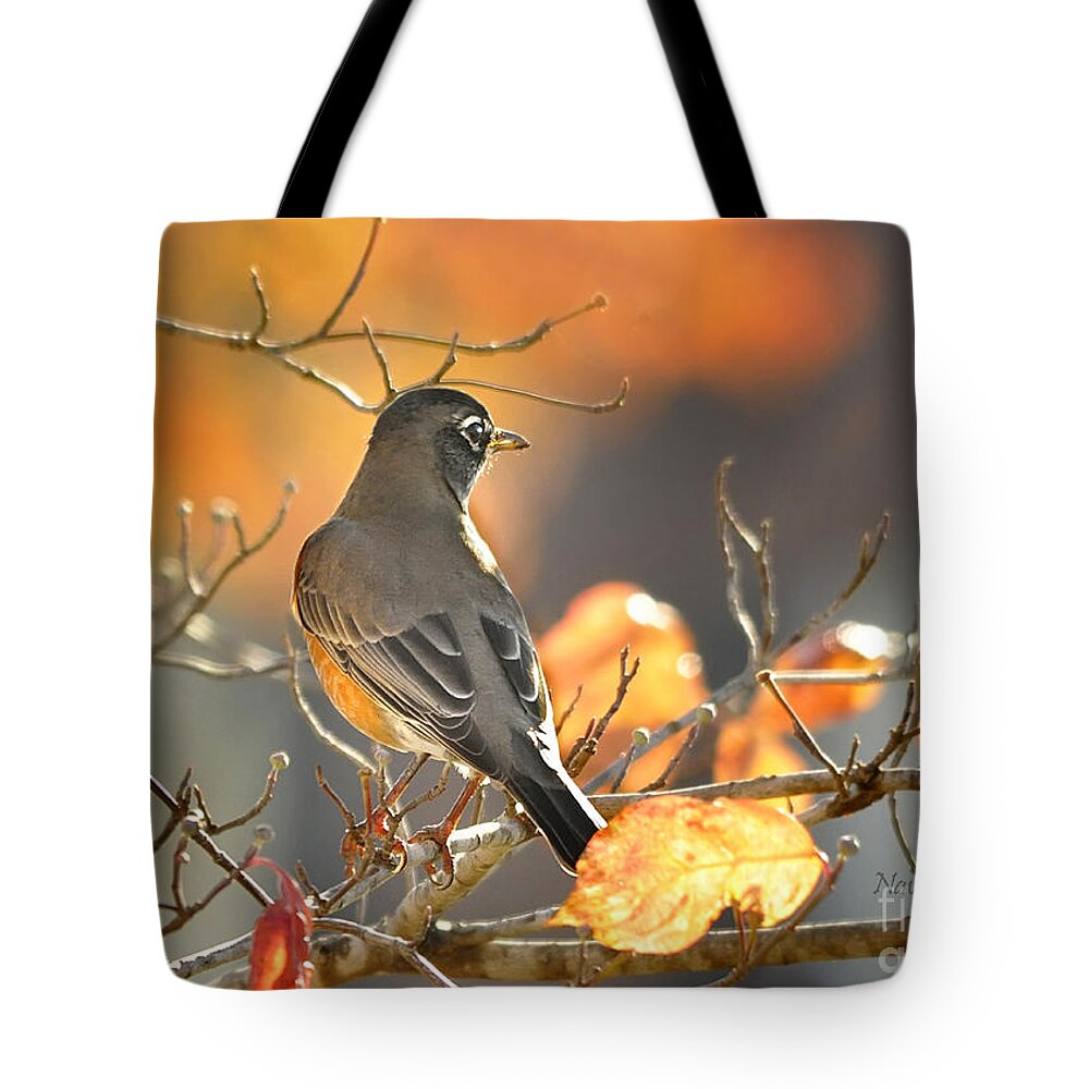 Nature Tote Bag featuring the photograph Glowing Robin by Nava Thompson