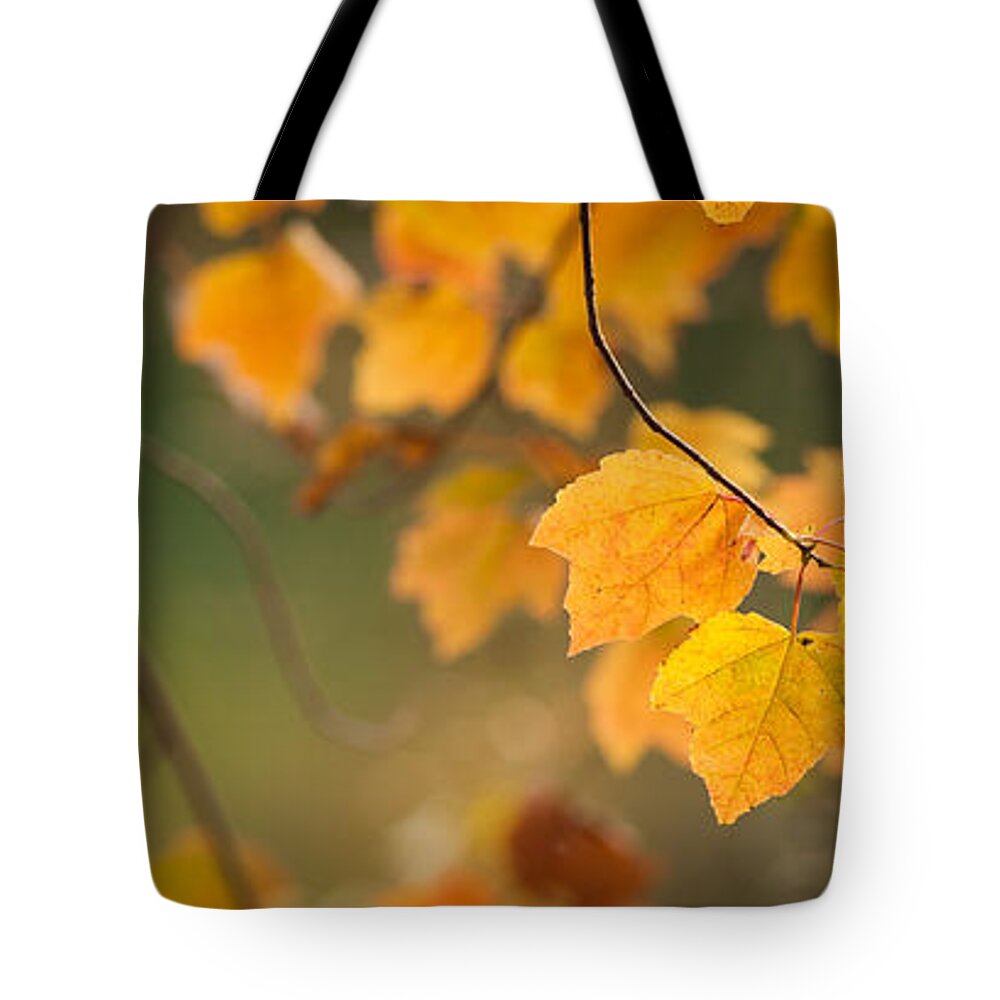 Autumn Tote Bag featuring the photograph Golden Fall Leaves by Joye Ardyn Durham
