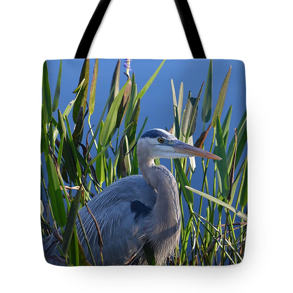 Great Blue Heron Tote Bag featuring the photograph 2- Great Blue Heron by Joseph Keane