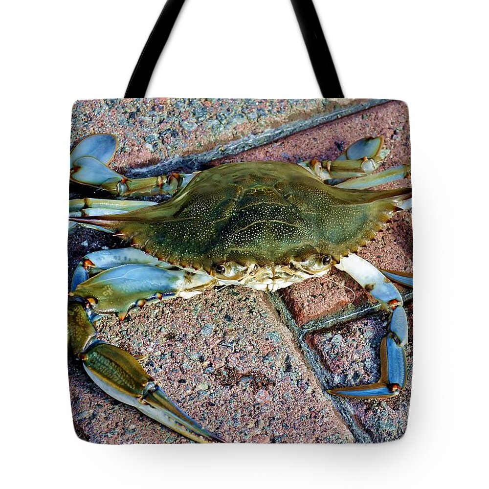 Crab Tote Bag featuring the photograph Hudson River Crab #2 by Lilliana Mendez