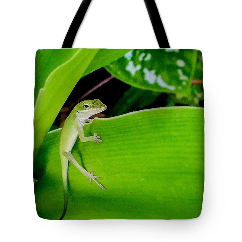 Lizard Tote Bag featuring the photograph It's Easy Being Green #2 by TK Goforth