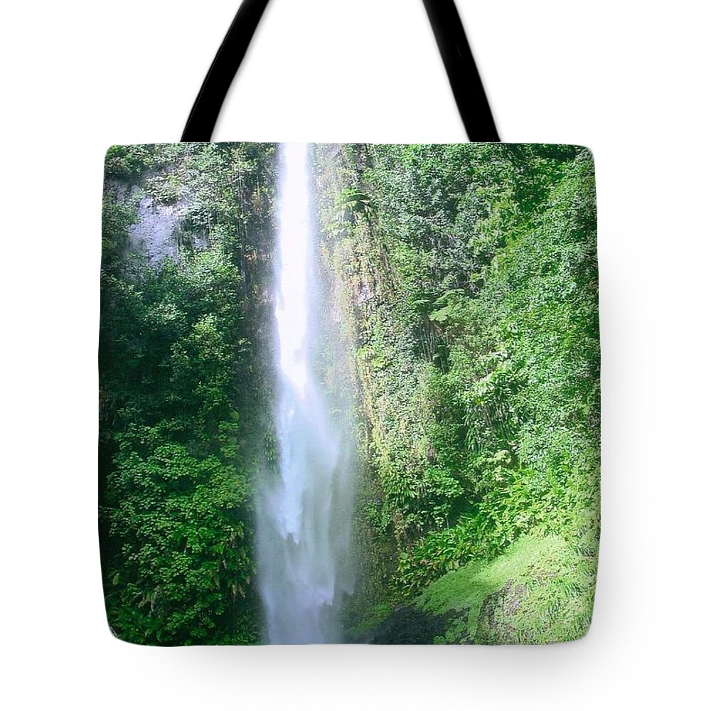 Waitukubuli Tote Bag featuring the photograph Middleham Falls by Robert Nickologianis