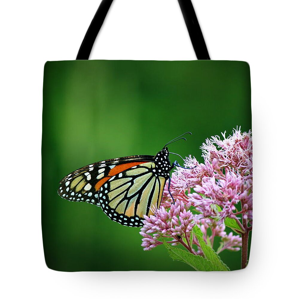 Butterfly Tote Bag featuring the photograph Monarch in Light by Neal Eslinger