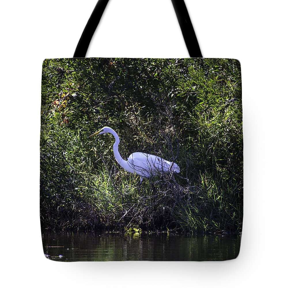Great White Heron Tote Bag featuring the photograph On The Hunt #2 by Dale Powell