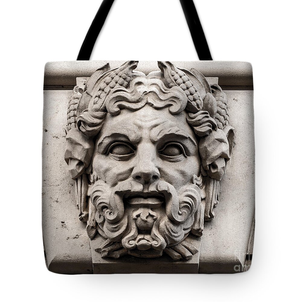 Ornamental Carved Stone Face - Washington DC Tote Bag