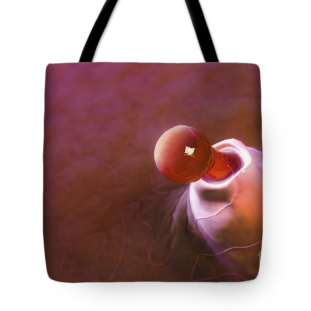 Biomedical Illustration Tote Bag featuring the photograph Ovulation #2 by Science Picture Co