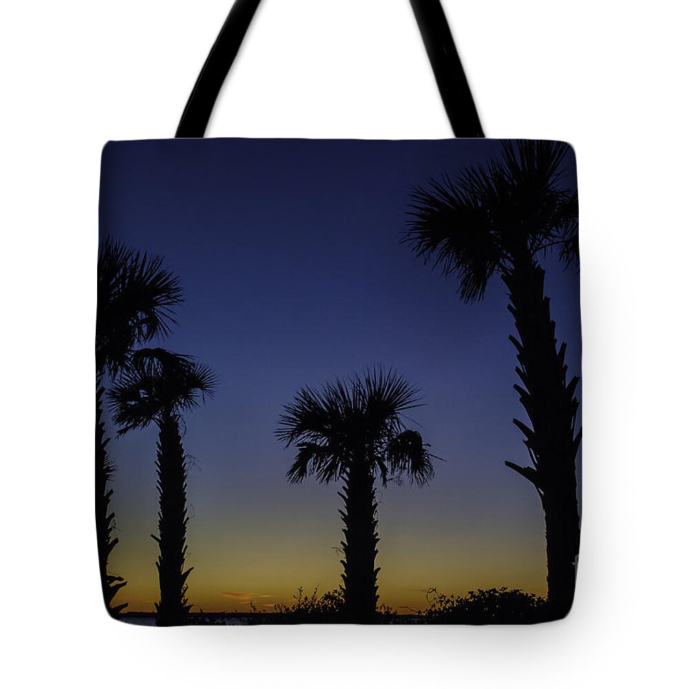 Palm Tote Bag featuring the photograph Palmetto Sunset #1 by Dale Powell