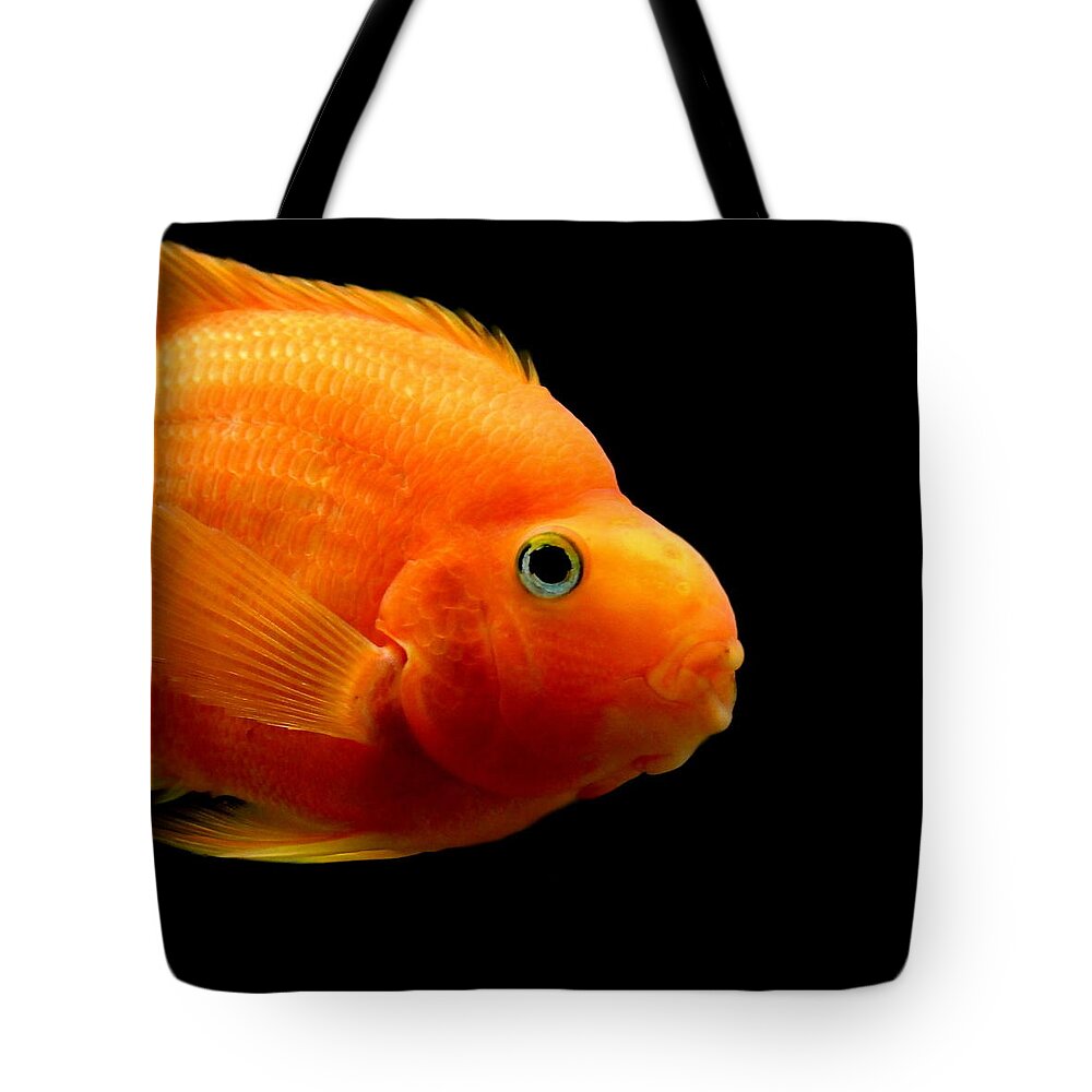 Fish Tote Bag featuring the photograph Parrot Fish #2 by Heike Hultsch