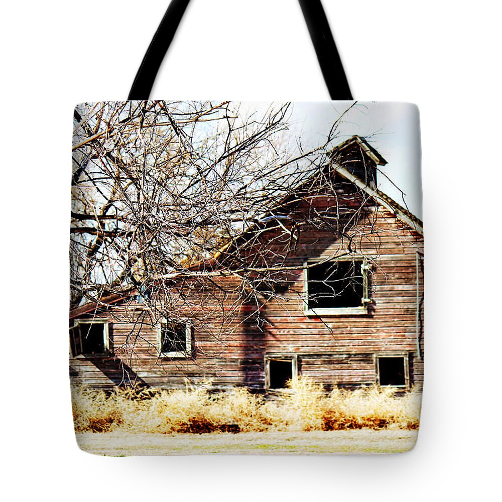 Old Barn Tote Bag featuring the photograph Petite Barn #2 by Sylvia Thornton