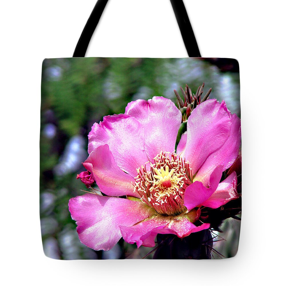 Botanical Tote Bag featuring the photograph Pink Cactus Flower #2 by Linda Cox