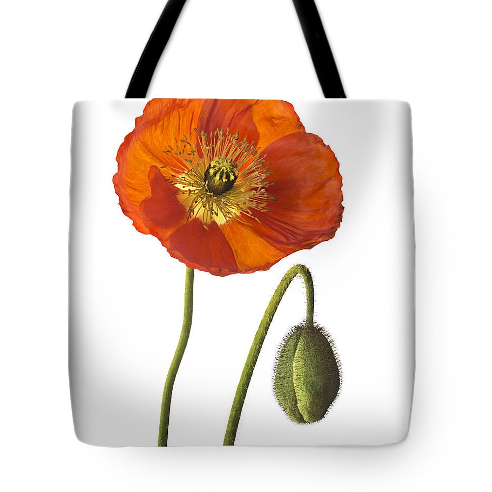 Flower Tote Bag featuring the photograph Poppy by Endre Balogh