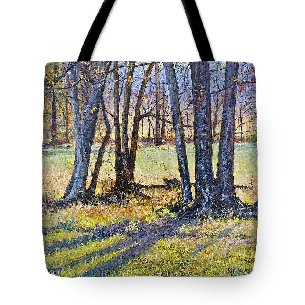 Sunset Tote Bag featuring the painting Quiet Afternoon Sunset #2 by Bill Jackson