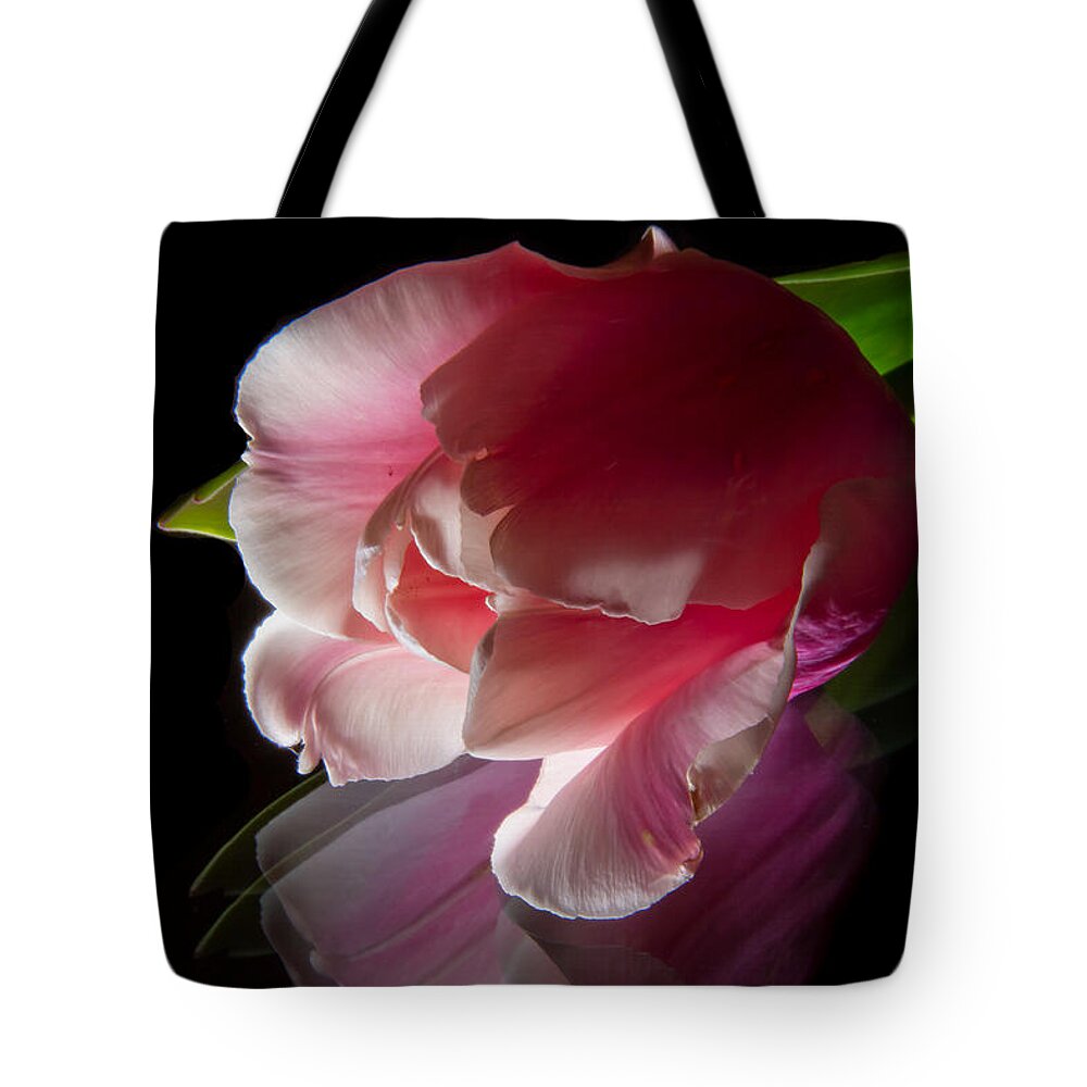 Tulip Tote Bag featuring the photograph Red Flower #1 by Christine Sponchia