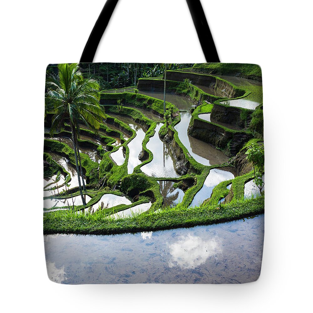 Tranquility Tote Bag featuring the photograph Rice Terraces In Central Bali Indonesia #2 by Gavriel Jecan
